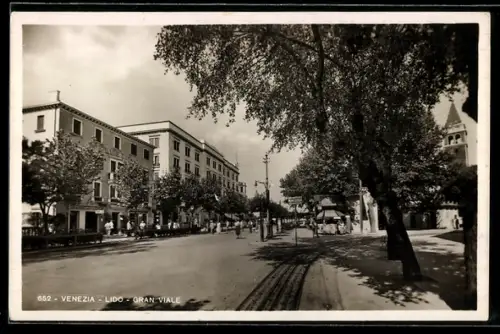 AK Venezia, Lido, Gran Viale con alberi e edifici storici