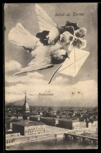 AK Torino, Panorama con colomba e fiori