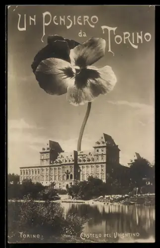 AK Torino, Castello del Valentino con fiore gigante