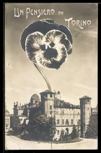 AK Torino, Panorama