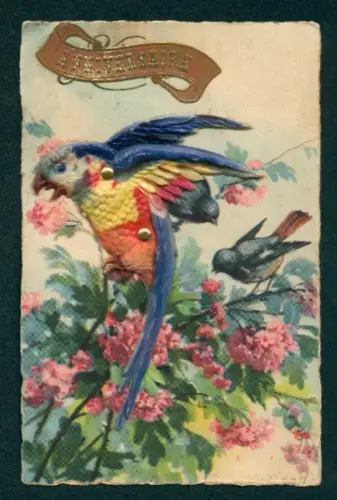 Mechanische-AK Papagei aus Kunststoff auf einem blühenden Strauch