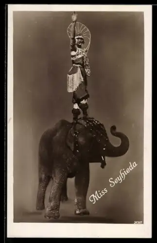 AK Miss Seyhieda, Tänzerin auf einem Elefanten, Zirkus