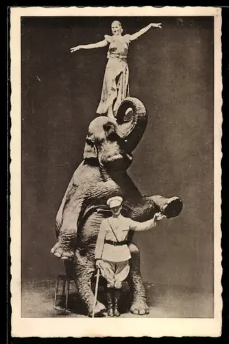 Foto-AK Frau, Elefant und Dompteur bei einer Vorstellung, Zirkus