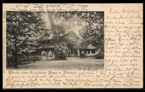 AK Dessau, Gasthof Sieglitzer Berg mit Garten