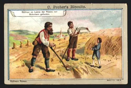 Sammelbild Detmold, C. Pecher, Biscuits, Gullvers Reisen, Gulliver wird von Schnittern gefunden