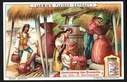 6 Sammelbilder Liebig, Serie Nr. 924: Gewinnung des Rosenöls, Prüfung des Öls, Verwendung, Abhebung des Öls
