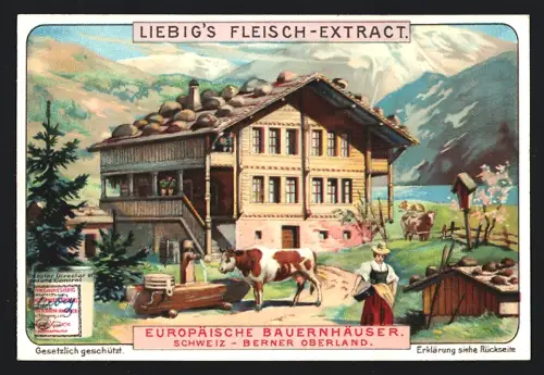 6 Sammelbilder Liebig, Serie Nr. 807: Europäische Bauernhäuser, Schwarzwald, Russland, Bretagne