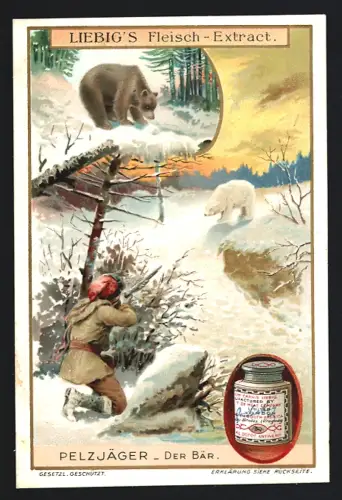 6 Sammelbilder Liebig, Serie Nr. 918: Pelzjäger, Fuchs, Hermelin, Fischotter, Biber, Robben und Bär