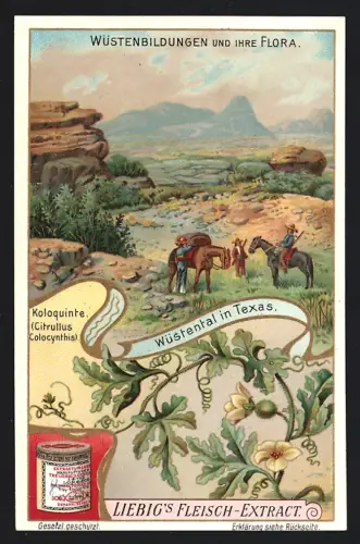 6 Sammelbilder Liebig, Serie Nr. 922: Wüstenbildungen und ihre Flora, Wadi Tarfeh, Oase von Biskra, Sahara, Utah, Texas