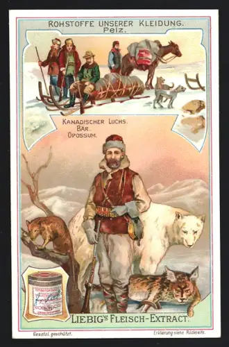6 Sammelbilder Liebig, Serie Nr. 900: Rohstoffe unserer Kleidung, Flachs, Baumwolle, Seide, Wolle, Pelz, Leder