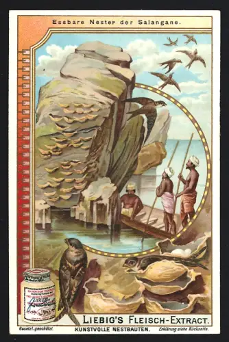 6 Sammelbilder Liebig, Serie Nr. 798: Kunstvolle Nestbauten, Toepfervogel, Klecho, Prachtweber, Goldweber, Beutelmeise