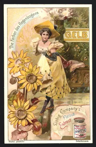 6 Sammelbilder Liebig, Serie Nr. 662: Die Farben des Regenbogens, Gelb, Blau, Orange, Grün, Violett, Rot