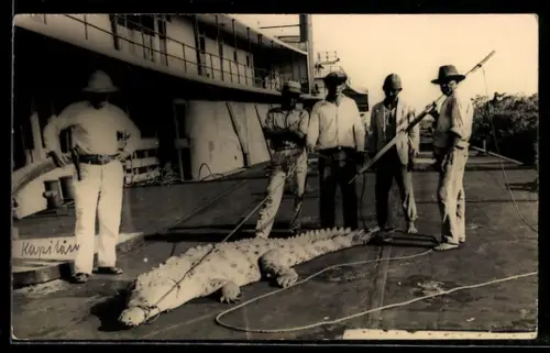Foto-AK Jäger mit Krokodil