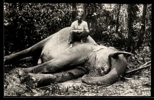 AK Jäger mit erlegtem Elefant