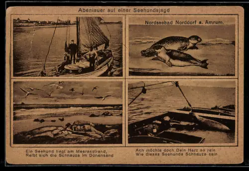 AK Abenteuer auf einer Seehundsjagd