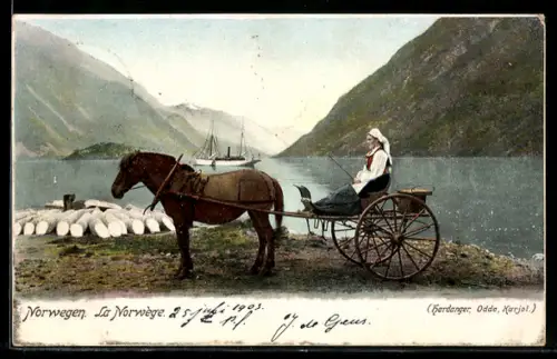 AK Hardanger, Odde, Karjol, Frau in Tracht auf Kutsche