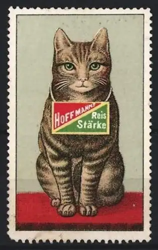 Reklamemarke Hoffmann`s Reis Stärke, Katze mit Halsband