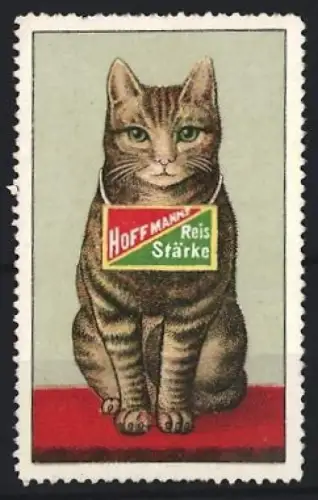 Reklamemarke Hoffmann`s Reis Stärke, Katze