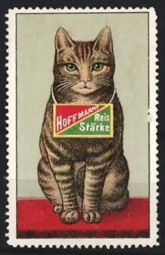 Reklamemarke Hoffmann, Speisestärke, Katze mit Schild