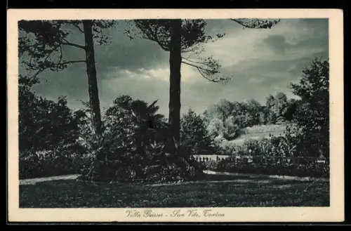 AK Torino, Villa Geisser, San Vito, giardino con alberi imponenti