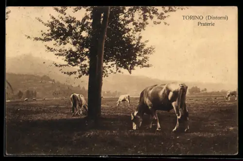 AK Torino, Dintorni, Praterie