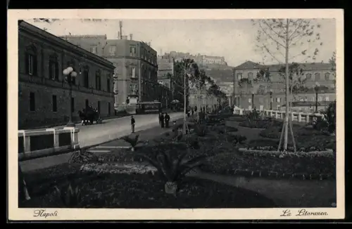 AK Napoli, La Litoranea con giardini e edifici storici sullo sfondo