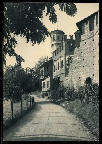 AK Torino, Castello Medievale e vialetto alberato