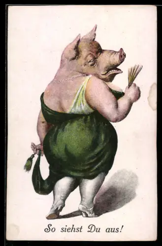 AK Schwein in erotischer Kleidung