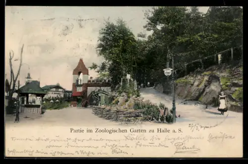 AK Halle a. S., Weg im Zoologischen Garten