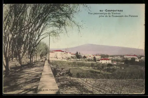 AK Carpentras, Vue panoramique du Ventoux prise de la Promenade des Platanes
