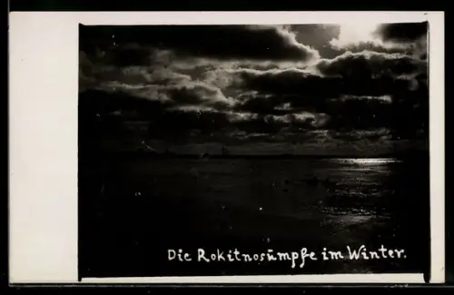 Foto-AK Brest-Litowsk, Die Rokitnosümpfe im Winter