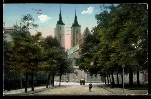 AK Breslau, Fuhrwerk auf der Strasse am Dom