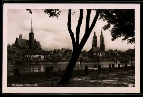 AK Breslau, Dominsel über den Fluss gesehen