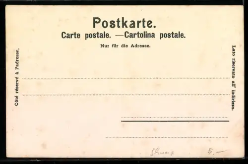 Künstler-AK Stein am Rhein, Panorama mit Rhein