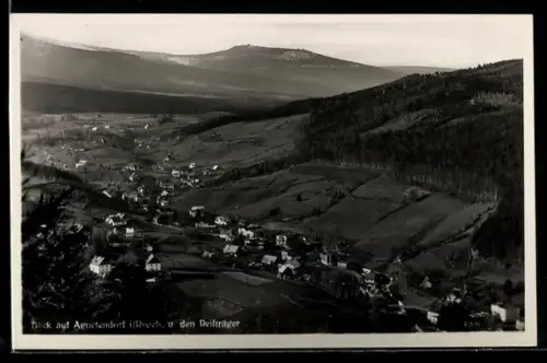 AK Agnetendorf i. Riesengebirge, Totalansicht mit Umgebung und Wald