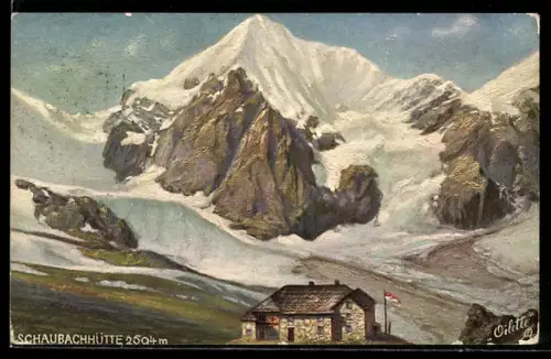 AK Schaubacherhütte, Ortlergruppe, Panoramablick