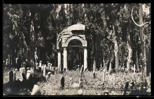 AK Constantinople, Monument du cheval au Cimetière a Scutari