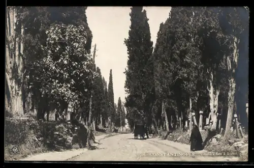 AK Constantinople, Cimetiere turc a Scutari