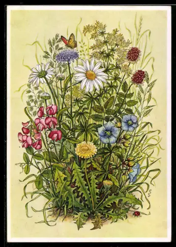 AK Stuttgart, Reichsgartenschau 1939, Wiesenblumen, Ausstellung