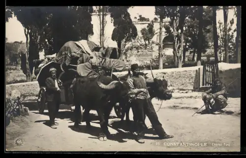 AK Constantinople, Chariot Turc, Ochsengespann
