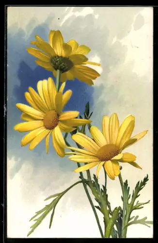 Künstler-AK Photochromie Nr.995: Gelb blühende Blumen
