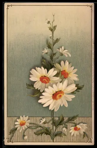 AK Margeritenranke, Ornament