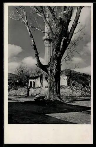 AK Bitolj, Stara dzamija