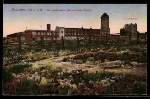 AK Brocken /Harz, Brockenhotel, Botanischer Garten, Aussichtsturm