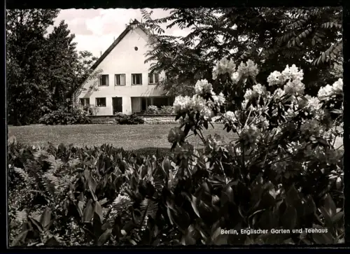 AK Berlin-Tiergarten, Englischer Garten und Teehaus