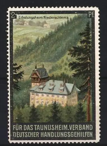 Reklamemarke Niederschlema, Blick auf das Erholungsheim, Für das Taunusheim, Verband deutscherv Handlungsgehilfen