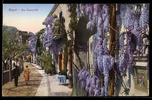 AK Capri, Via Camerelle, strada con glicini in fiore e passanti