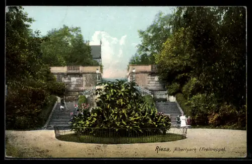 AK Riesa, Albertpark, Freitreppe