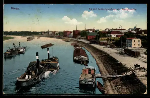 AK Riesa, Landungsbrücke der Dampfschiffe aus der Vogelschau