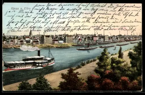 AK Riesa a. Elbe, Stadtpanorama, Dampfschiffe auf der Elbe